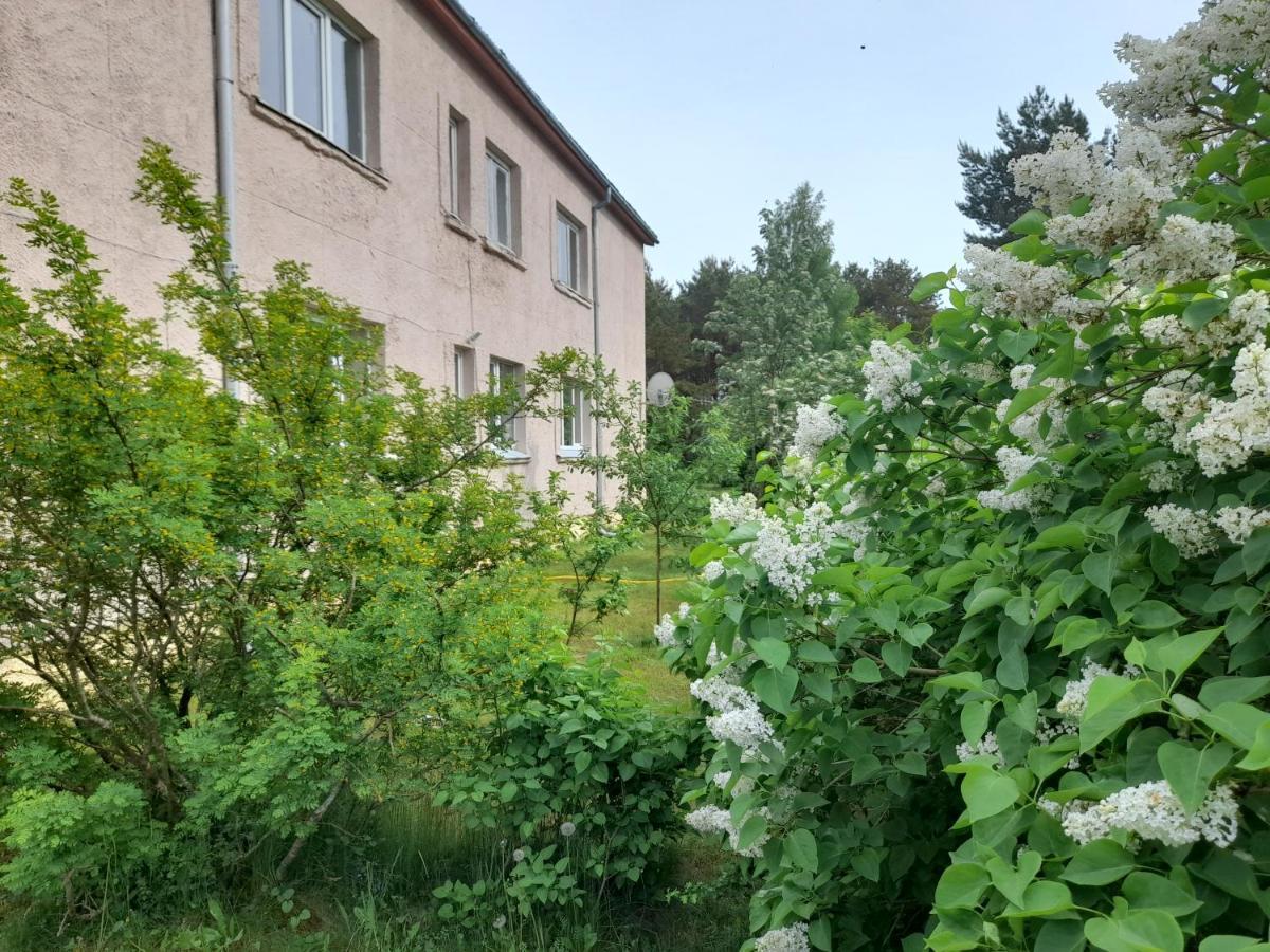 Quiet Summer Apartment Aucugals Buitenkant foto